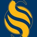 Scottsdale Aquatic Club – Road to Rio
